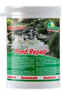 Femanga Pond Repair