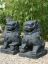 Tempelwächter, Set mit 2 Löwen, Höhe 40 - 75 cm