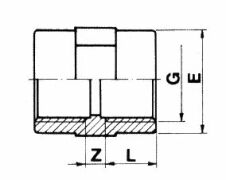 PVC Gewindemuffe beide Seiten Innengewinde 2" x 2"