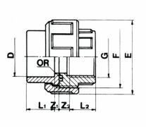 PVC-Kupplung zum kleben und 1x Innengewinde 63 mm x 2"